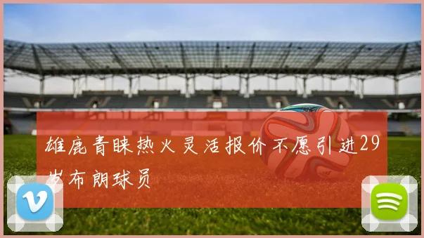雄鹿青睐热火灵活报价不愿引进29岁布朗球员