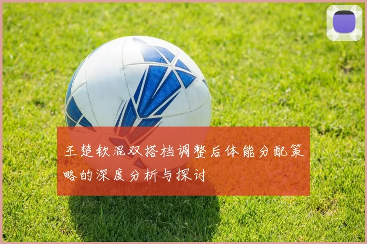 王楚钦混双搭档调整后体能分配策略的深度分析与探讨